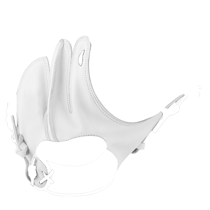 img/back-leather-1.png