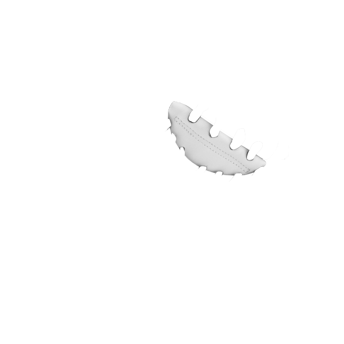 img/back-palm.png