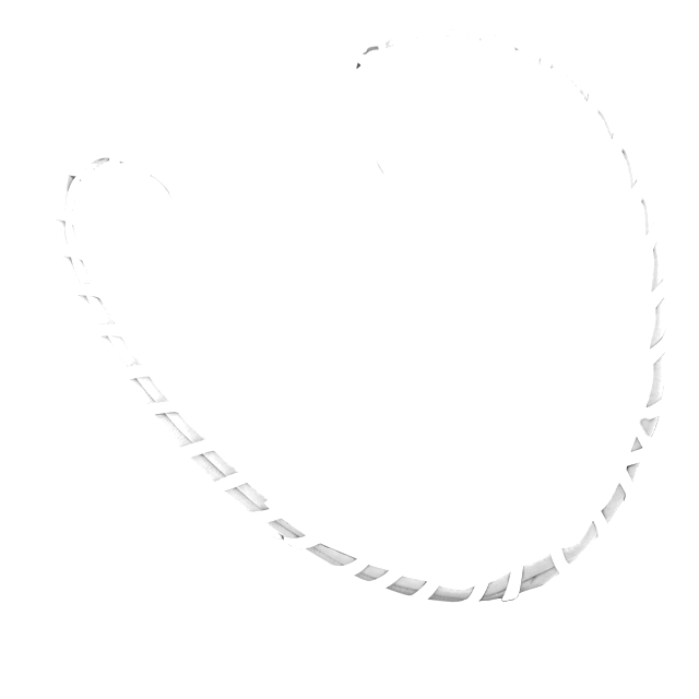 img/front-binding.png
