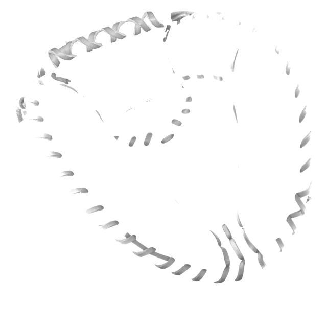 img/front-laces.png