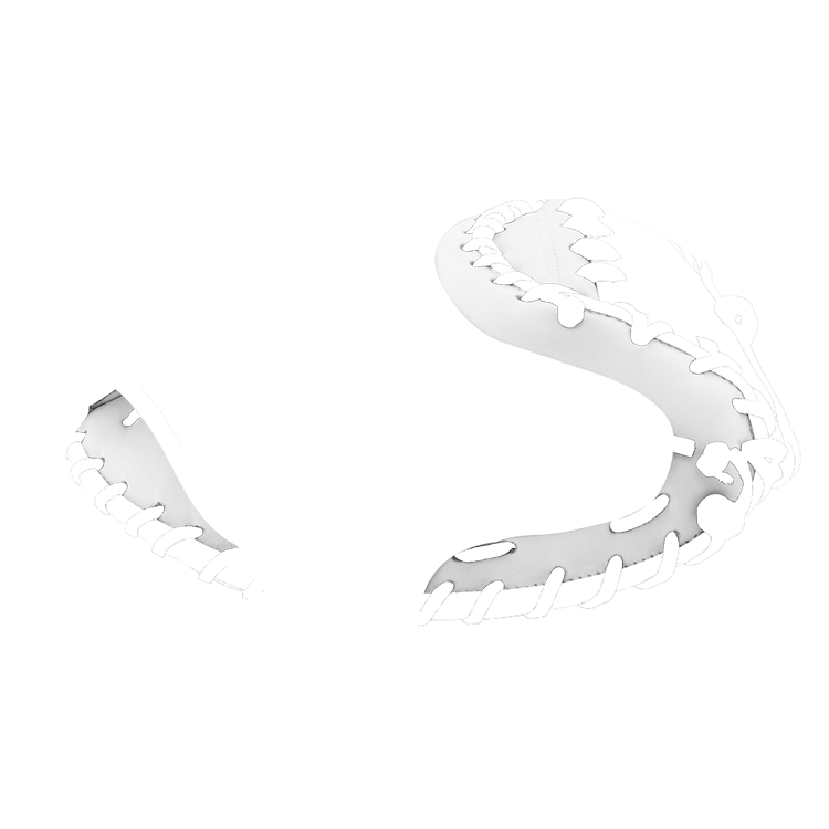 img/right-crown.png