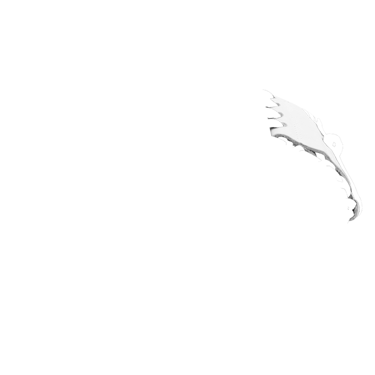 img/right-web.png